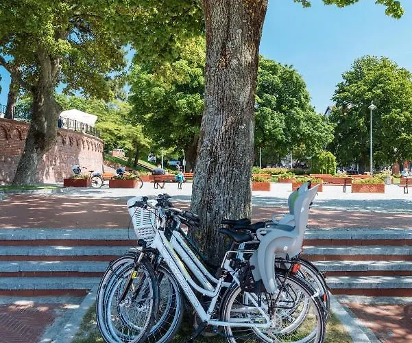 Navigator-rezydencja Spacerowa