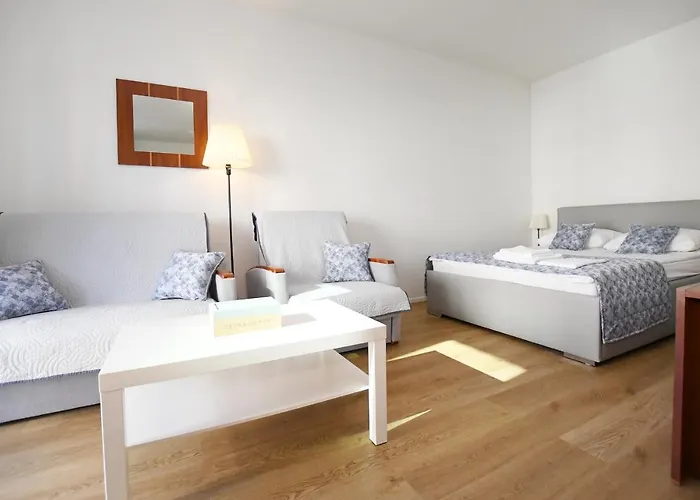 Navigator-rezydencja Spacerowa *